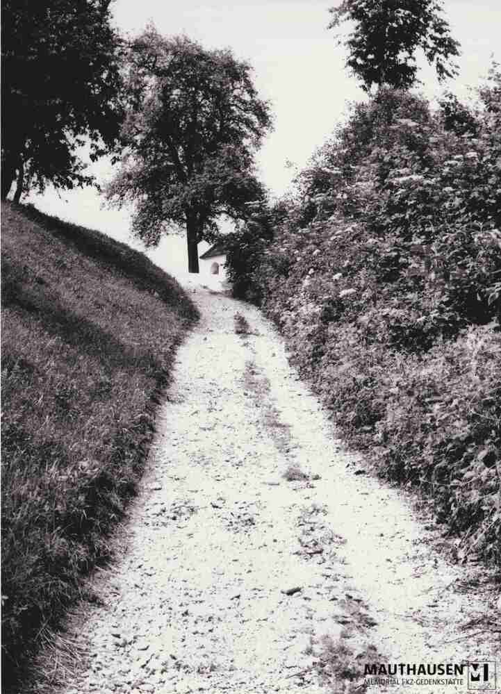 4.1.0035.jpg; 4.1.0035; Mauthausen, Ort: Weg vom Bahnhof Mauthausen zum KZ Mauthausen;