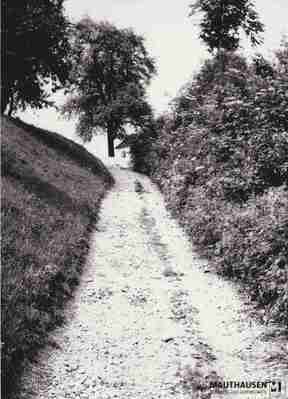 4.1.0035.jpg; 4.1.0035; ;