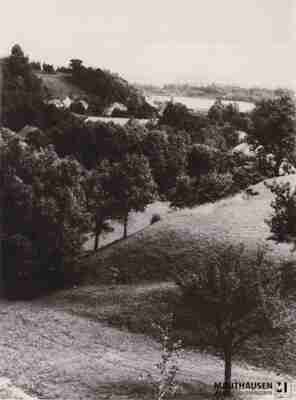 4.1.0036.jpg; 4.1.0036; ;