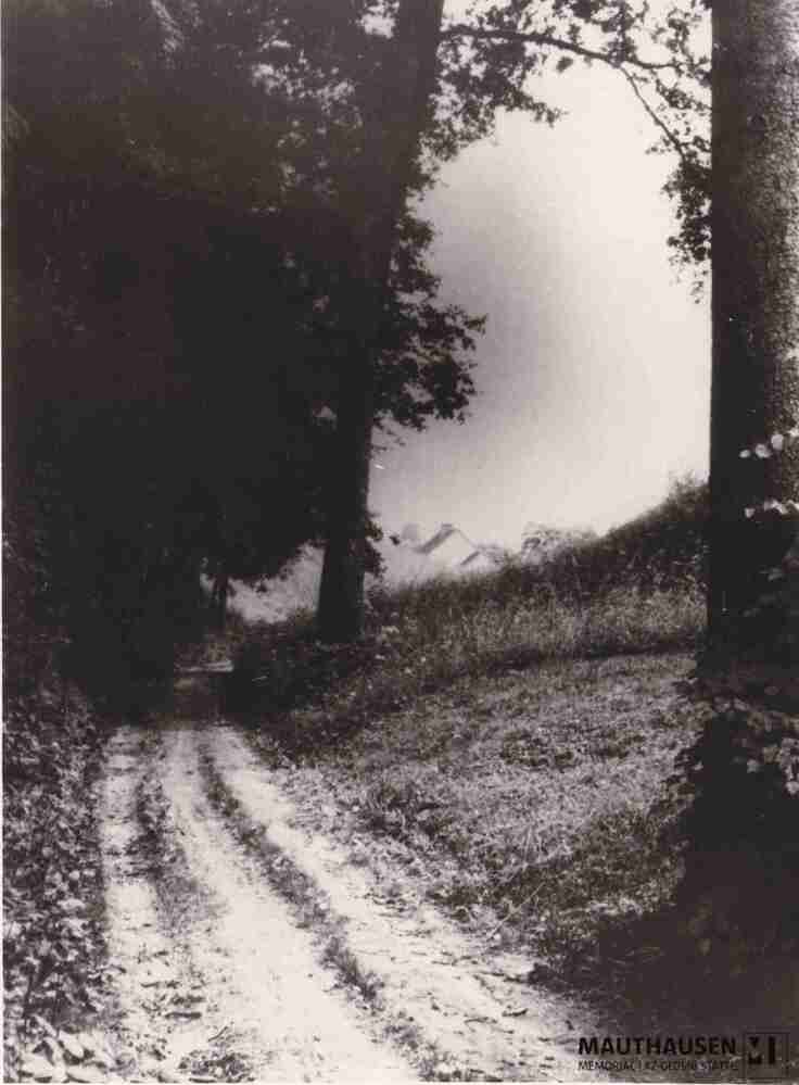 4.1.0037.jpg; 4.1.0037; Mauthausen, Ort: Weg vom Bahnhof Mauthausen zum KZ Mauthausen;