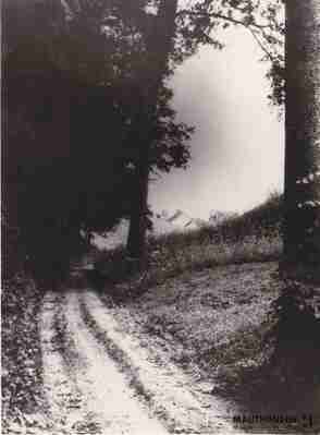 4.1.0037.jpg; 4.1.0037; ;