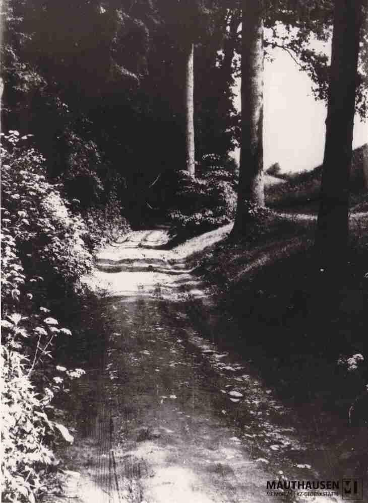 4.1.0038.jpg; 4.1.0038; Mauthausen, Ort: Weg vom Bahnhof Mauthausen zum KZ Mauthausen;