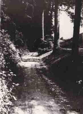 4.1.0038.jpg; 4.1.0038; ;