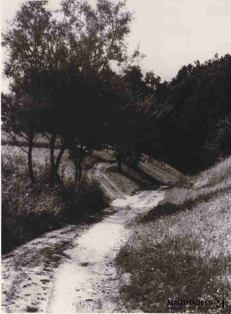 4.1.0039.jpg; 4.1.0039; Mauthausen, Ort: Weg vom Bahnhof Mauthausen zum KZ Mauthausen;
