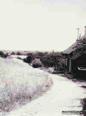 4.1.0040.jpg; 4.1.0040; ;