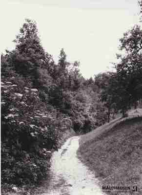 4.1.0041.jpg; 4.1.0041; ;