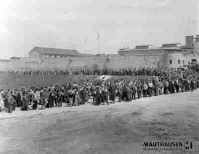 4.9.003.jpg; 4.9.003; ;