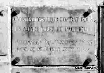 6.1.0104_01-03-105-01.jpg; 6.1.0104; ;