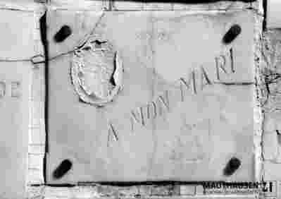 6.1.0203_01-03-203-01.jpg; 6.1.0203; ;