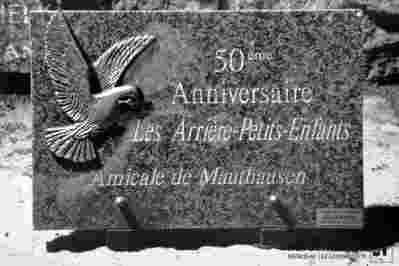 6.1.0233_01-03-233-01.jpg; 6.1.0233; ;