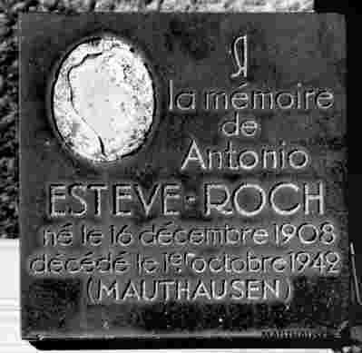 6.1.0247_01-04-006-01.jpg; 6.1.0247; ;