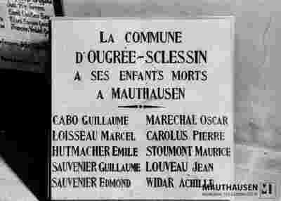 6.1.1015_12-00-381-01.jpg; 6.1.1015; ;