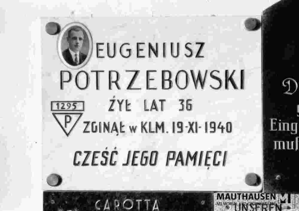 6.1.1035_12-00-401-01.jpg; 6.1.1035; ; Tafel mit Fotomedaillon