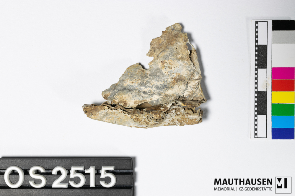 OS2515_1.jpg; OS2515; ; Randfragment