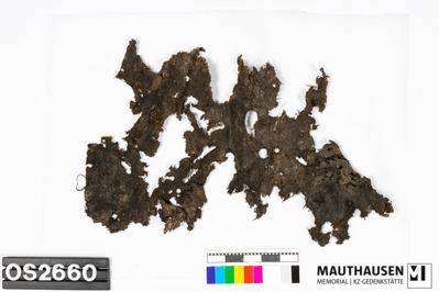 OS2660_1.jpg; OS2660; ;