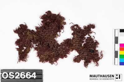 OS2664_1.jpg; OS2664; ;