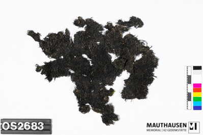 OS2683_1.jpg; OS2683; ;