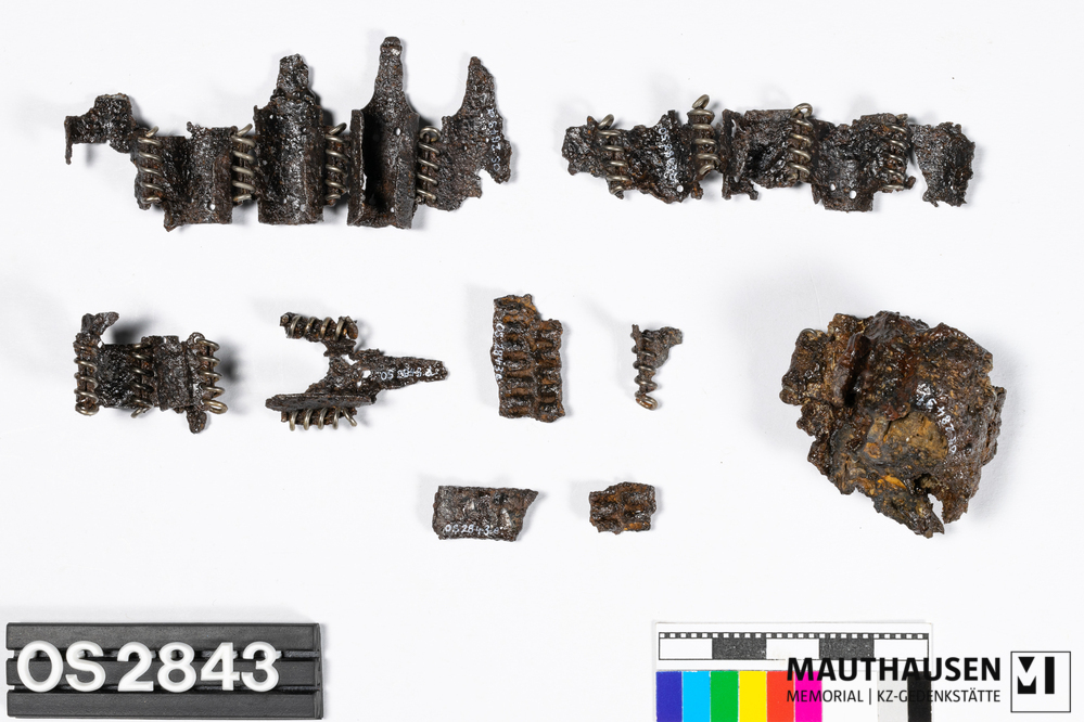 OS2843_2.jpg; OS2843; ; Gurt